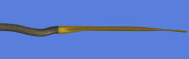 Warwick University Canoe Club logo